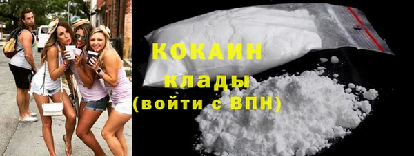бошки Каменка