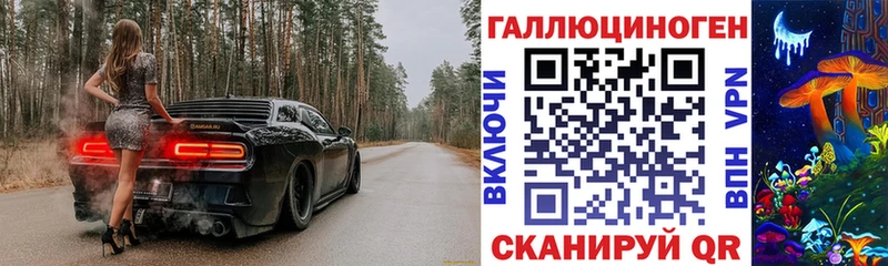 купить цена Моздок Галлюциногенные грибы Magic Shrooms