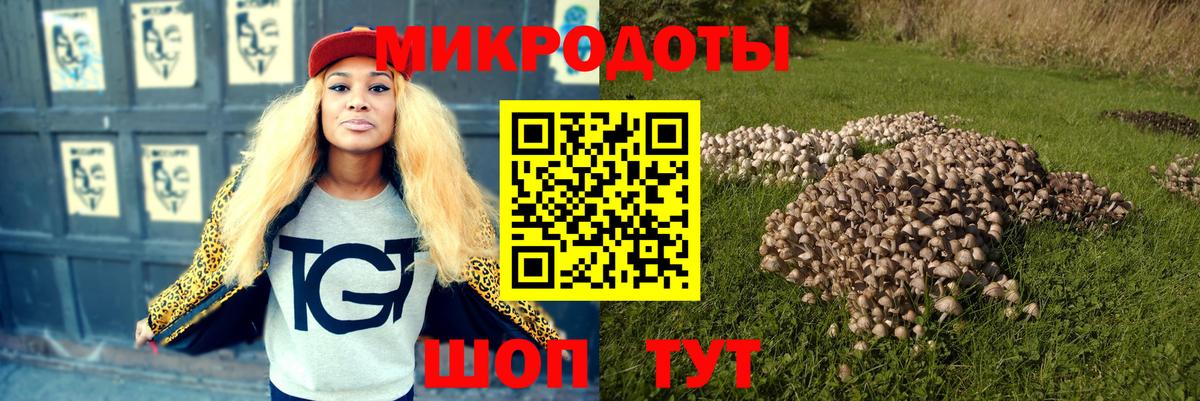 Галлюциногенные грибы Cubensis Моздок