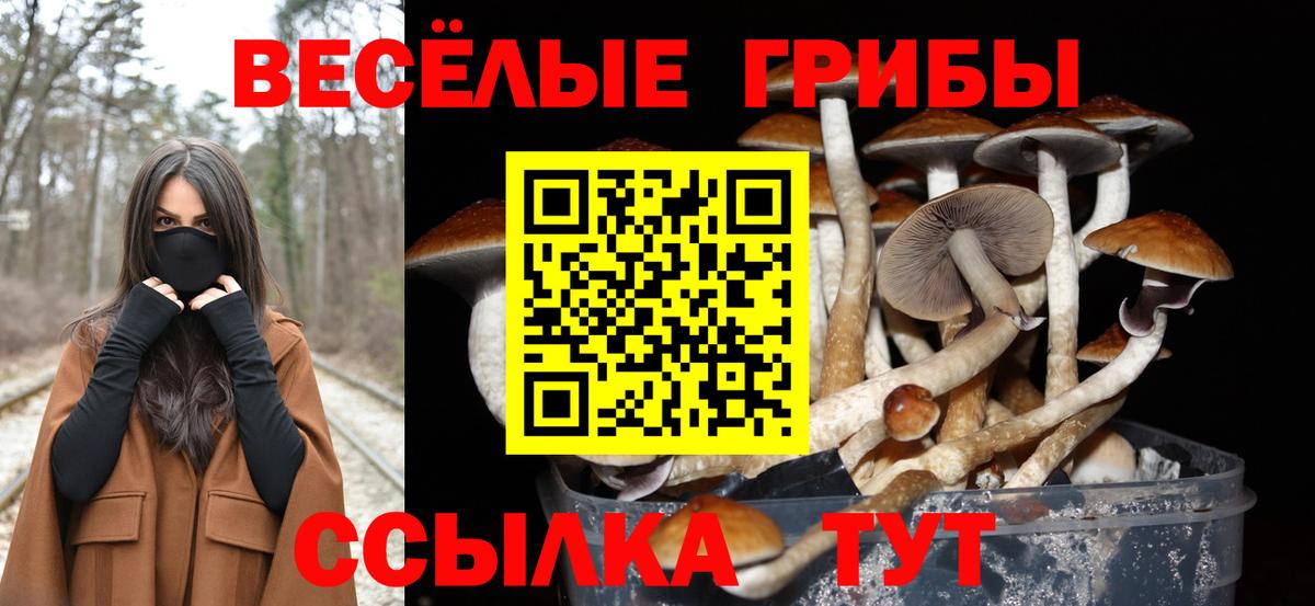 магазин продажи наркотиков  Галлюциногенные грибы MAGIC MUSHROOMS  Галлюциногенные грибы Cubensis  Вход с VPN  Моздок 