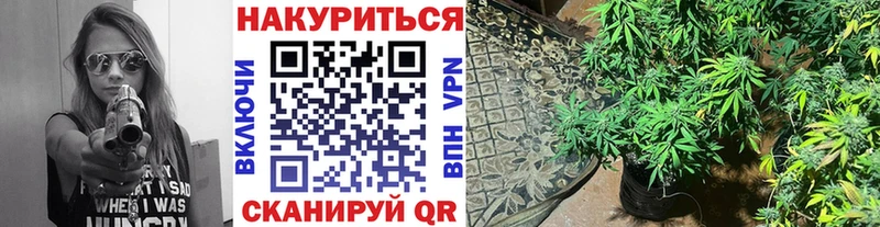 Бошки Шишки тримм Моздок
